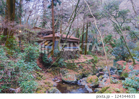 [箕面の滝]自然豊かな風景 124344635