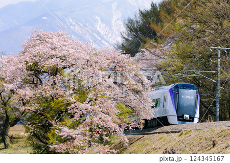 桜と雪山と中央線特急あずさ号 124345167