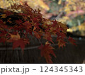 夜の紅葉ライトアップ 124345343
