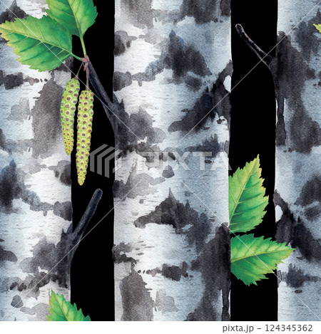 Watercolor seamless pattern of a Birch tree trunks 124345362