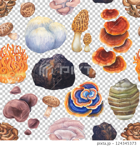 Watercolor seamless pattern of a various medicinal mushrooms 124345373