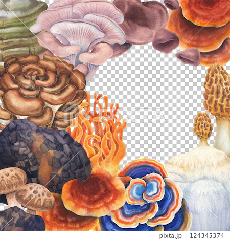 Realistic watercolor medicinal mushrooms isolated on a white background 124345374