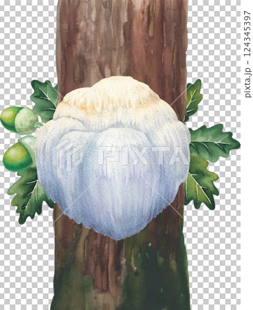 Watercolor Lion's Mane mushroom growing on a mossy tree trunk. Hand-painted design isolated on a white background Watercolor Lion's Mane mushroom growing on a mossy tree trunk. Hand-painted design isolated on a white background 124345397