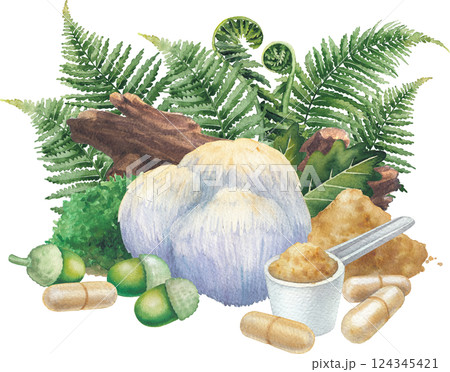 Watercolor Lion's Mane mushroom surrounded with a log, moss, oak and fern leaves, acorns, pills and powder. 124345421