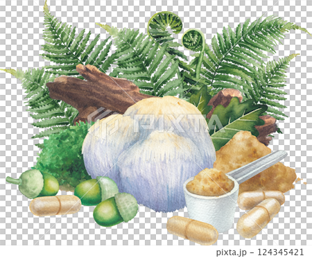 Watercolor Lion's Mane mushroom surrounded with a log, moss, oak and fern leaves, acorns, pills and powder. 124345421