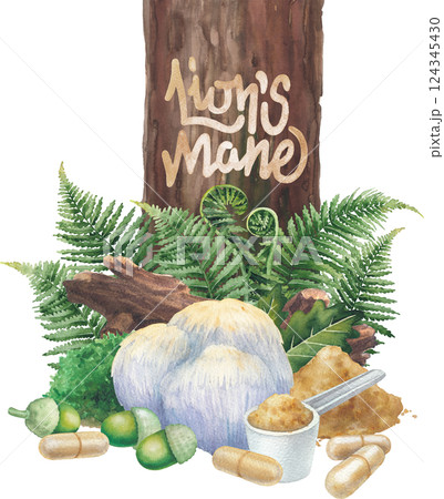 Watercolor Lion's Mane mushroom surrounded with a log, moss, oak and fern leaves, acorns, pills and powder. 124345430