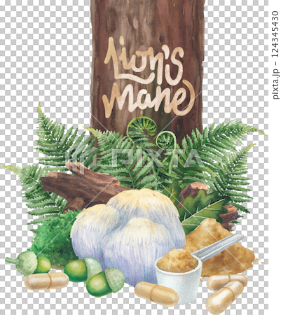Watercolor Lion's Mane mushroom surrounded with a log, moss, oak and fern leaves, acorns, pills and powder. Watercolor Lion's Mane mushroom surrounded with a log, moss, oak and fern leaves, acorns, pills and powder. 124345430