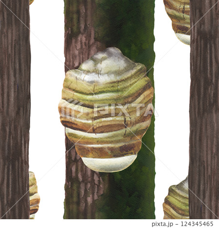 Watercolor seamless pattern of an Agarikon mushroom growingf rom a mossy tree trunk Watercolor seamless pattern of an Agarikon mushroom growingf rom a mossy tree trunk 124345465