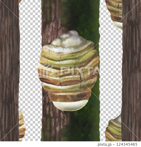 Watercolor seamless pattern of an Agarikon mushroom growingf rom a mossy tree trunk Watercolor seamless pattern of an Agarikon mushroom growingf rom a mossy tree trunk 124345465