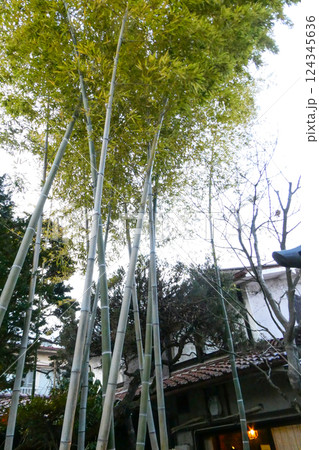 岩手県, 盛岡市, 宮沢賢治, ｢注文の多い料理店」,初出版元, 古民家 124345636