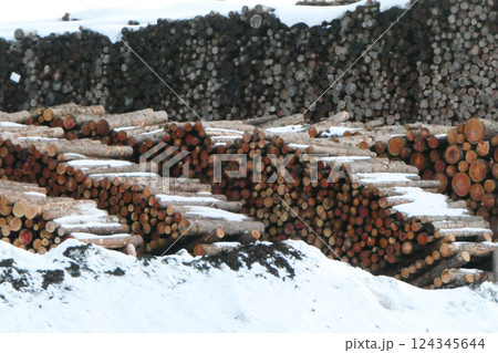 岩手県川井村区界の伐採した木材を寝せている 川井村は日本で一番最後に電気が通った場所 岩手県川井村区界の伐採した木材を寝せている 川井村は日本で一番最後に電気が通った場所 124345644