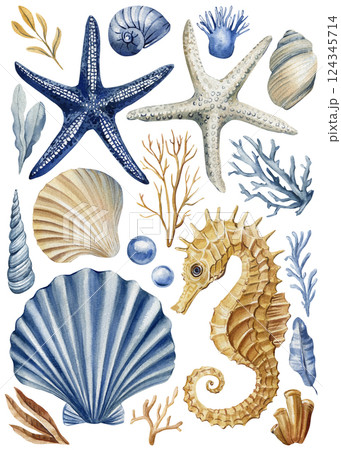 starfish seashell seahorse coral watercolor illustration set, ocean collection isolated, underwater sea nature elements 124345714