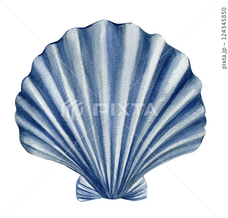 blue seashell watercolor illustration, ocean shell isolated on white, marine nature element, tropical sea object 124345850