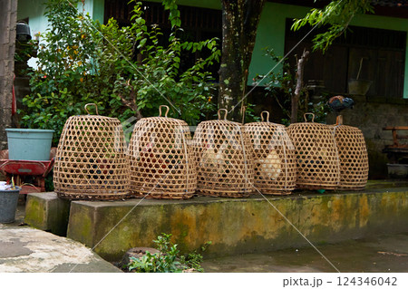 A row of straw cages for fighting roosters stands along a road in an Asian village. A row of straw cages for fighting roosters stands along a road in an Asian village. 124346042