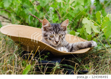 Cute kitten lounging in a straw hat outdoors. Cute kitten lounging in a straw hat outdoors. 124346491