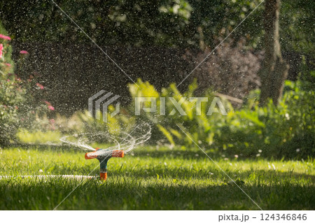 Green lawn automatic irrigation system in park. Close up. Automatic smart irrigation system. Green lawn automatic irrigation system in park. Close up. Automatic smart irrigation system. 124346846