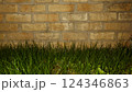 レンガの壁の周りに生える雑草 124346863