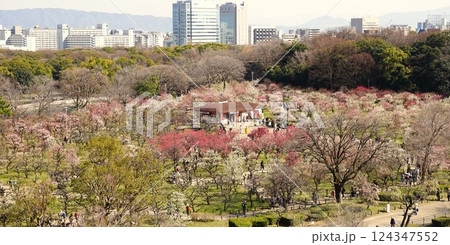 大阪城梅林の風景 124347552