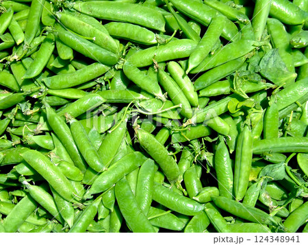 Beans peas 124348941
