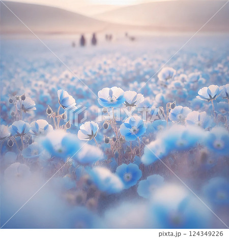ネモフィラの夢 — 優しい光に包まれた花畑 ネモフィラの夢 — 優しい光に包まれた花畑 124349226