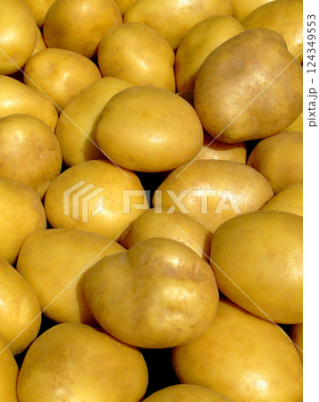 Potato 124349553