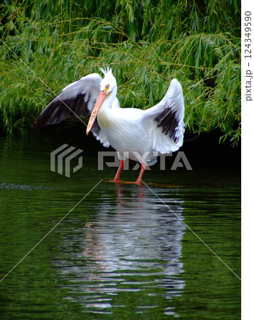 Pelican 3 Pelican 3 124349590