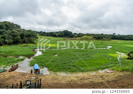 River boat trip at Parana do Mamori in the Amazon rainforest, Ma 124350093