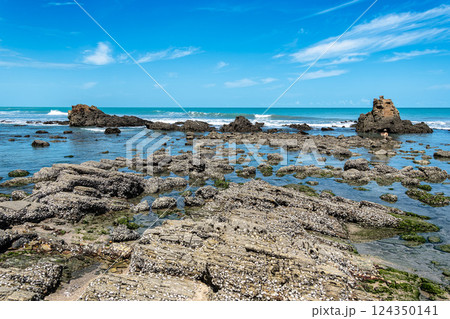 Victory Beach, Praia da Vitoria at Jijoca de Jericoacoara, Ceara 124350141