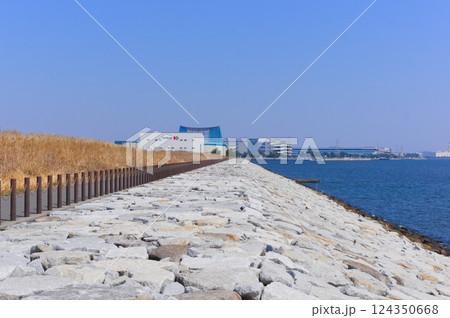 千葉県市川市市川塩浜駅周辺の風景2025年3月 124350668