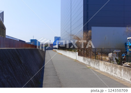 千葉県市川市海岸近辺の風景2025年3月 千葉県市川市海岸近辺の風景2025年3月 124350709