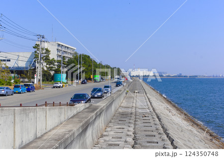 千葉県市川市市川漁港周辺2025年3月 124350748