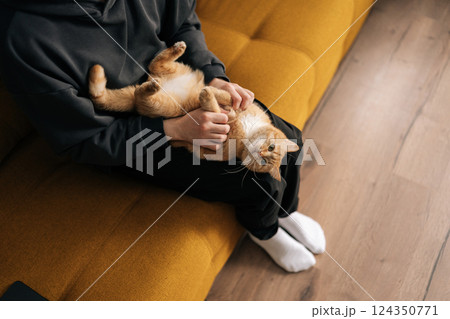 Top view of unrecognizable loving pet owner cuddling playful ginger cat while sitting relaxing on comfortable sofa in living room, enjoying peaceful moment of affection and companionship. Top view of unrecognizable loving pet owner cuddling playful ginger cat while sitting relaxing on comfortable sofa in living room, enjoying peaceful moment of affection and companionship. 124350771