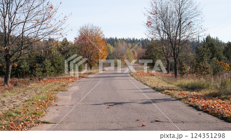 A peaceful autumn road with colorful trees and fallen leaves, perfect for leisurely walks and reflection 124351298