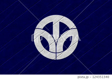 Official flag of Fukui. Prefecture in Japan. Conceptual collage on wood texture Official flag of Fukui. Prefecture in Japan. Conceptual collage on wood texture 124351340