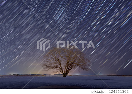 冬の北海道　はるにれの木と星空 124351562