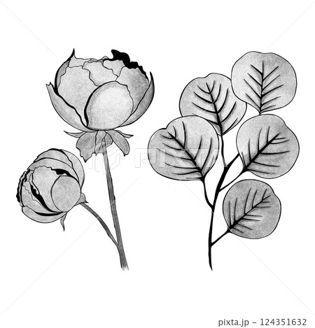 detailed sketch of peony and a sprig of ginkgo. Hand-drawn. design greeting card and invitation of the wedding, birthday, Valentine's Day, mother's day and other holiday detailed sketch of peony and a sprig of ginkgo. Hand-drawn. design greeting card and invitation of the wedding, birthday, Valentine's Day, mother's day and other holiday 124351632