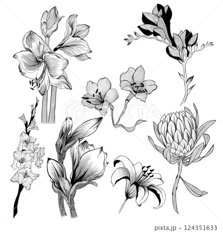 big set of flowers sketches. Hand-drawn. design greeting card and invitation of the wedding, birthday, Valentine's Day, mother's day and other holiday big set of flowers sketches. Hand-drawn. design greeting card and invitation of the wedding, birthday, Valentine's Day, mother's day and other holiday 124351633