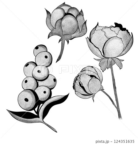 Large set of berries, flowers and cotton. Botanical element template for graphic design, wedding decor, textiles, souvenir gift, stationery print 124351635