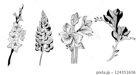 set of detailed flower sketches. Hand-drawn. design greeting card and invitation of the wedding, birthday, Valentine's Day, mother's day and other holiday 124351636
