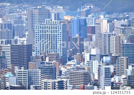 広島市の街並み(黄金山頂上からの風景) 広島市の街並み(黄金山頂上からの風景) 124351755