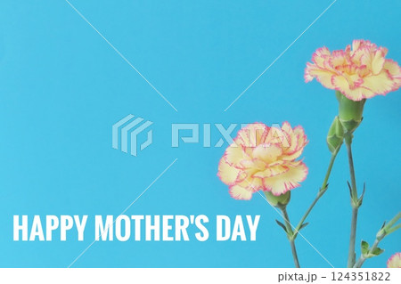 カーネーション 母の日メッセージカード 124351822