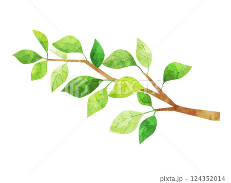 緑色の葉がついている枝のイラスト　水彩風加工バージョン 124352014