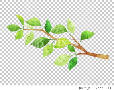 Illustration of a branch with green leaves, watercolor version Illustration of a branch with green leaves, watercolor version 124352014