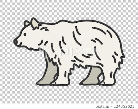北極熊插圖（線條描色） 124352023