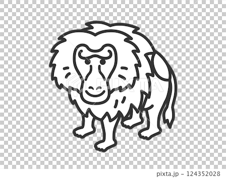 マントヒヒ（線画）のイラスト 124352028