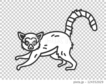 キツネザル（線画）のイラスト 124352029