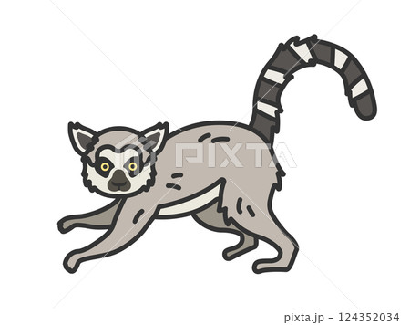 キツネザル（線画カラー）のイラスト 124352034