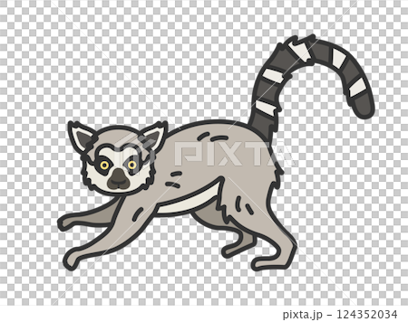 キツネザル（線画カラー）のイラスト 124352034