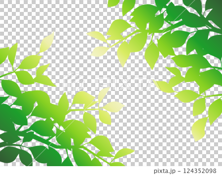 緑色のグラデーションで光との葉の影を表現したイラスト 緑色のグラデーションで光との葉の影を表現したイラスト 124352098
