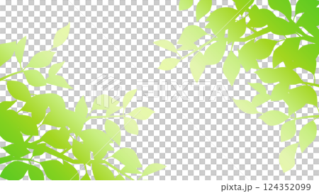 以綠色漸層表現樹葉的光與影的插圖。寬高比為16:9 版本。 124352099